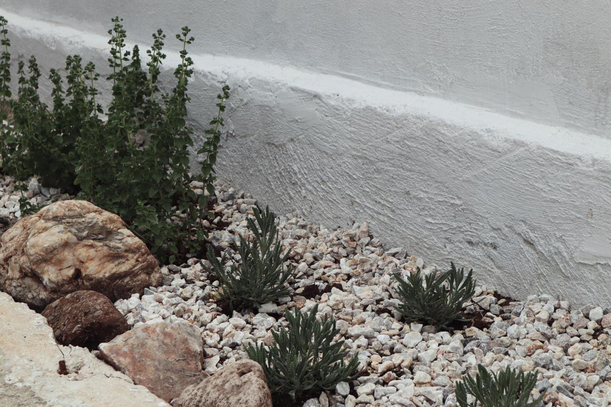 ספיליה Villa Elea Apartments מראה חיצוני תמונה