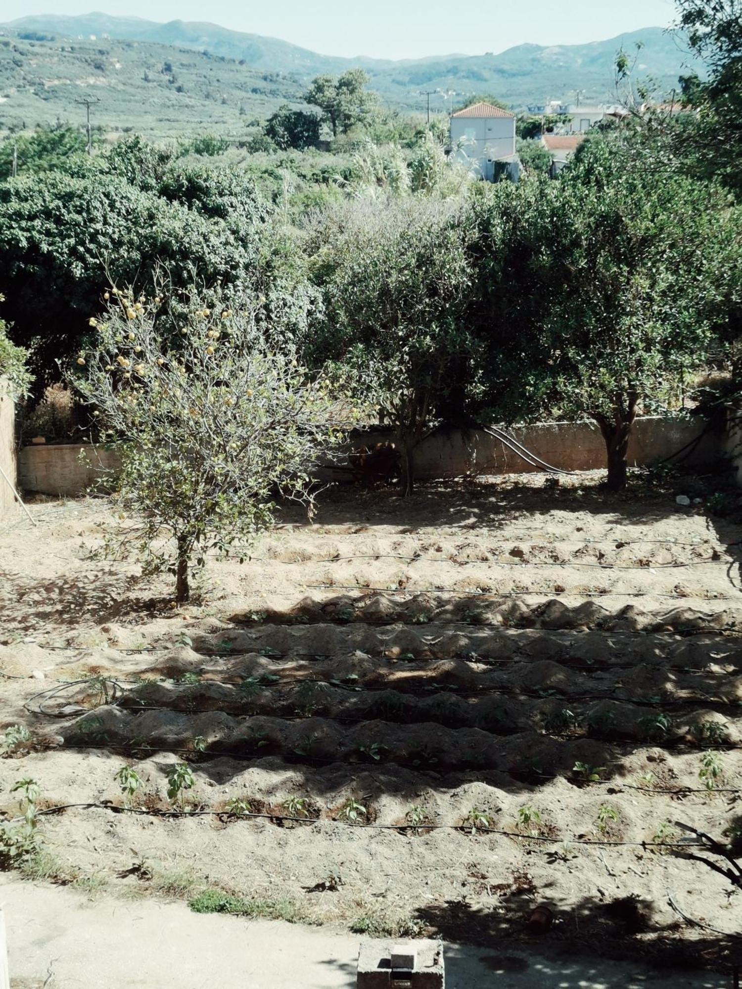 ספיליה Villa Elea Apartments מראה חיצוני תמונה
