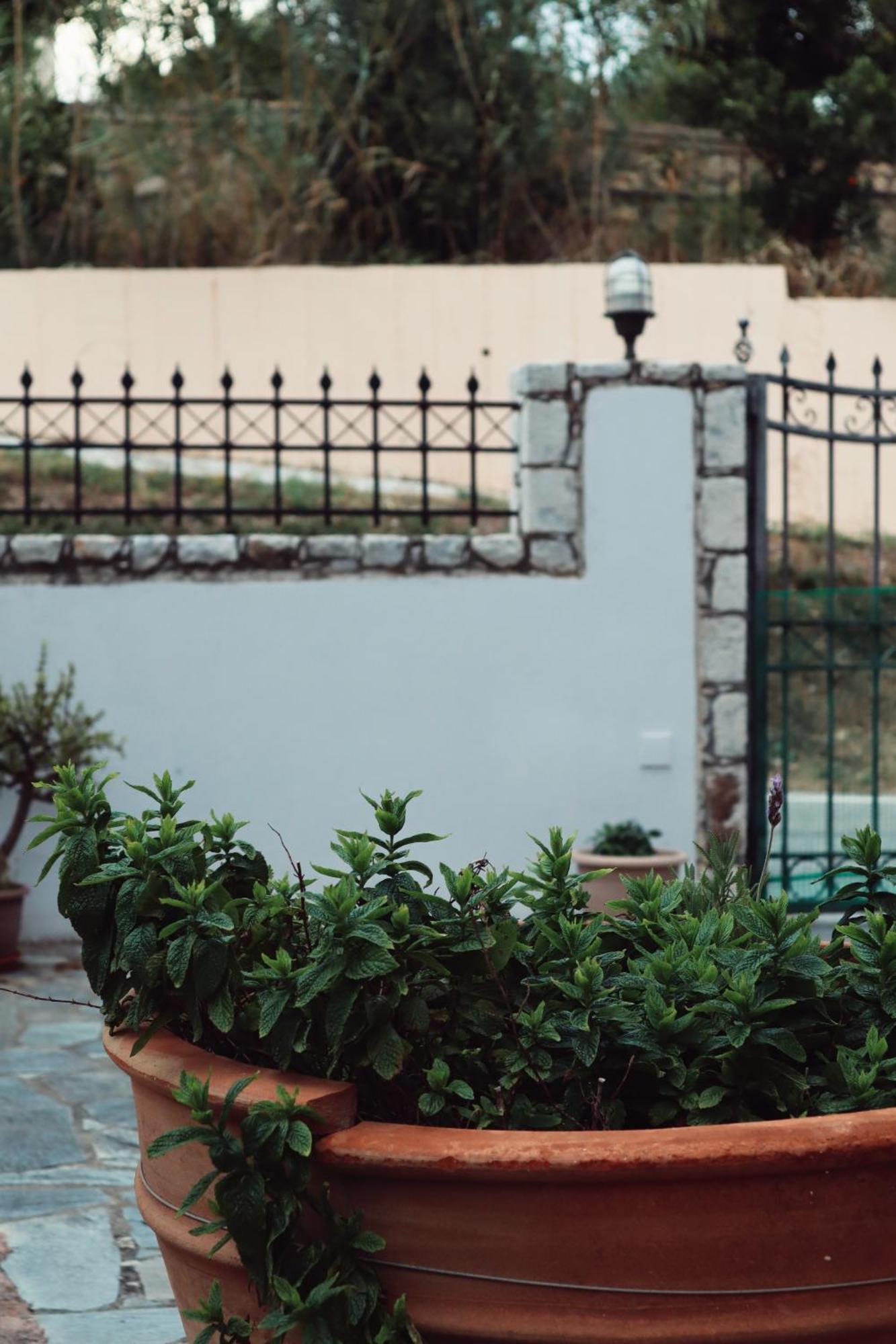 ספיליה Villa Elea Apartments מראה חיצוני תמונה
