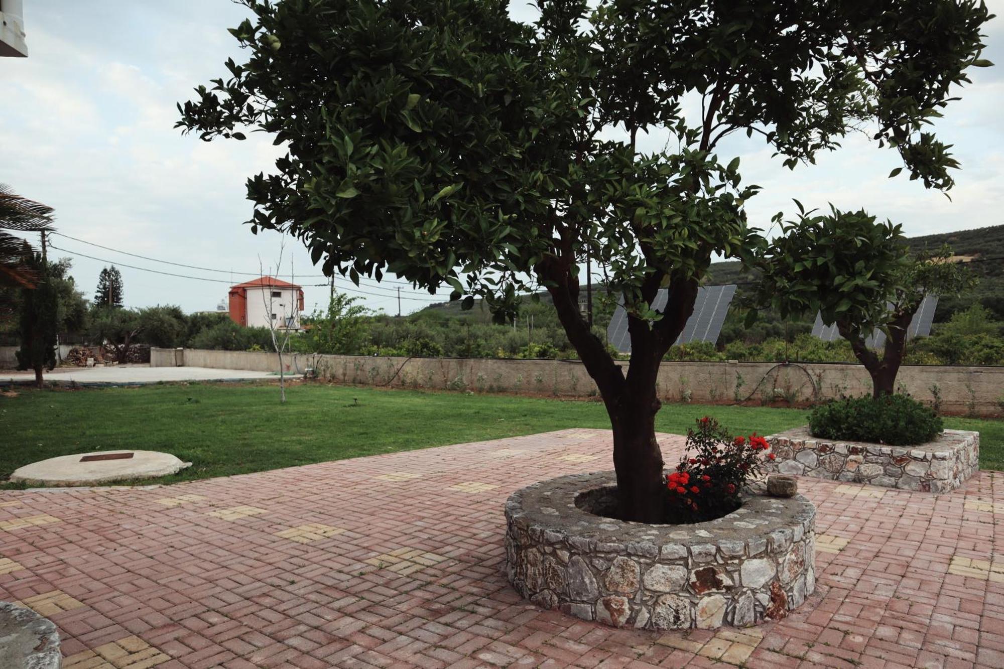 ספיליה Villa Elea Apartments מראה חיצוני תמונה