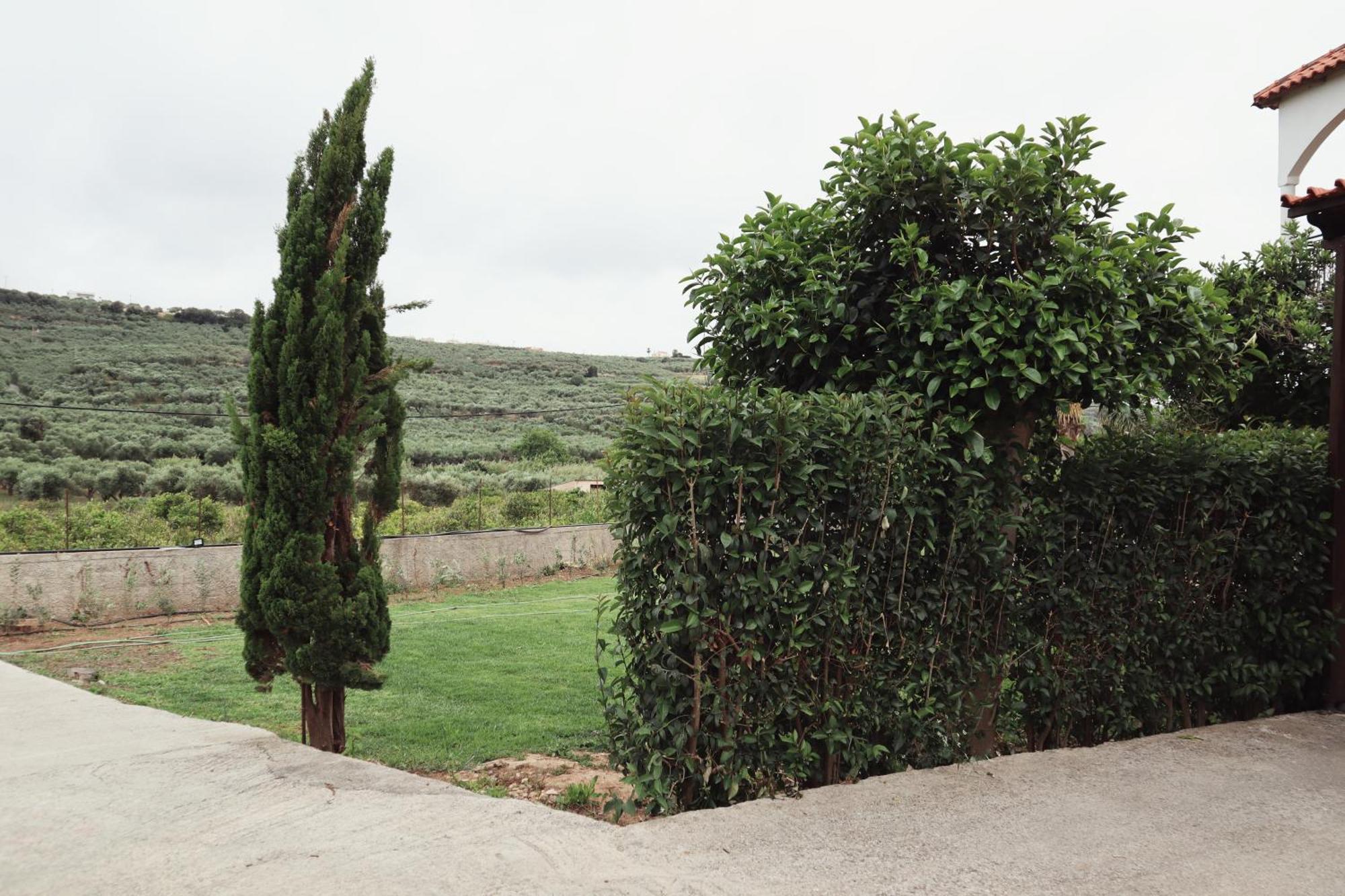 ספיליה Villa Elea Apartments מראה חיצוני תמונה