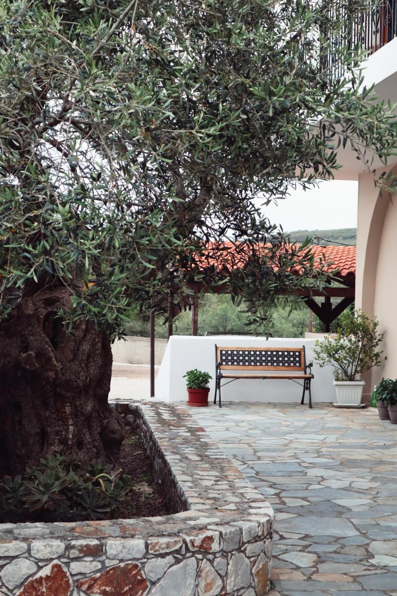 ספיליה Villa Elea Apartments מראה חיצוני תמונה