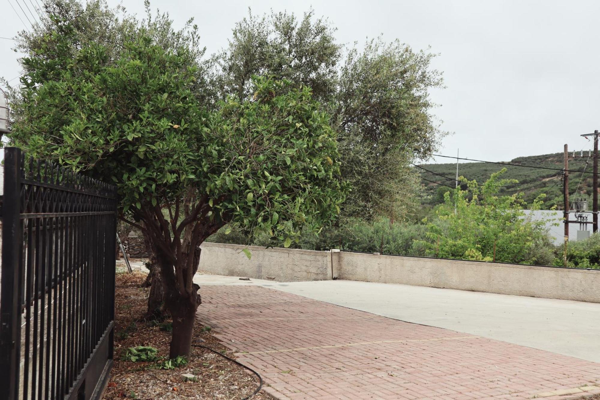 ספיליה Villa Elea Apartments מראה חיצוני תמונה